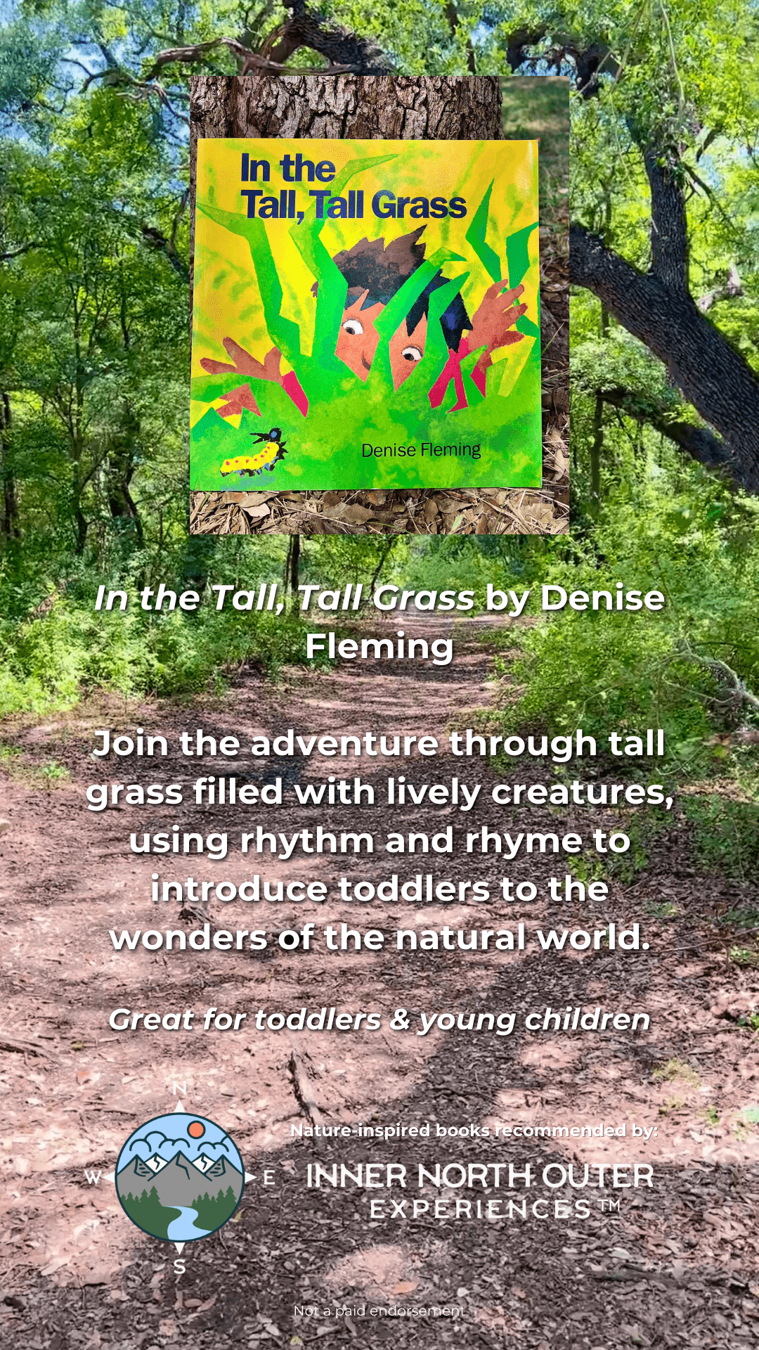 In the Tall, Tall Grass by Denise Fleming